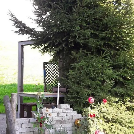 別荘 Ferienhaus/ferienwohnung Urige Hutte Bregenzerwald Langenegg