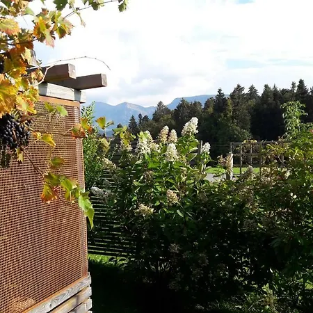 Ferienhaus/ferienwohnung Urige Hutte Bregenzerwald *